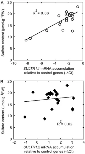 Figure 3. Relationship between sulfate content and accumulation of SULTR1.1 and SULTR1.2 mRNA in Arabidopsis roots