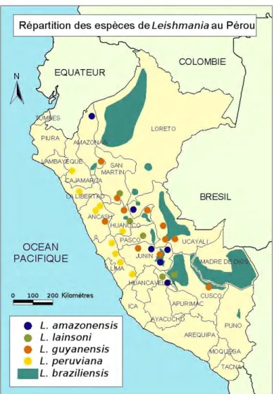 Illustration 3 : Répartition des espèces de Leishmania au Pérou  (carte H. Grebic d'après Lucas et al.(1998))