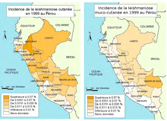 Illustration 4 : Incidence de la leishmaniose cutanée en  1999 au Pérou (carte H. Grebic d'après Ampuero Vuela 