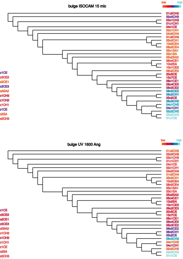 Fig. 3. Cladogram of Fig. 2 with projected characters in colour codes indicated on top right