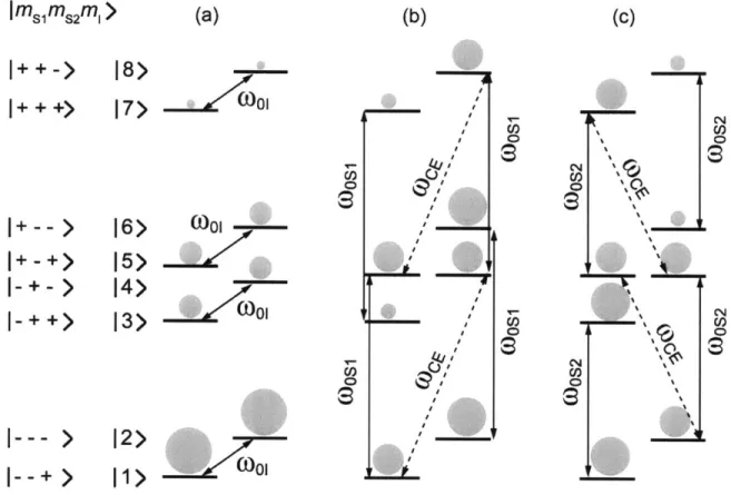 Figure  2.2:  Population  distribution  at  thermal  equilibrium  for  a  general  three-spin  system  (a).