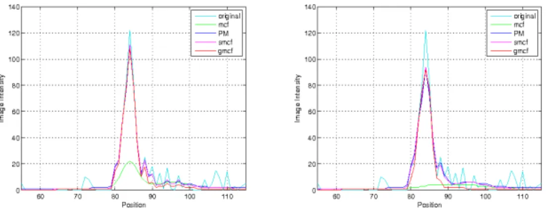Fig. 8. Graphs of the original and filtered image intensities in a neighborhood of a nucleus after 5 and 15 time steps