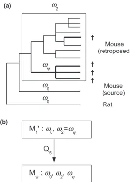 Fig. 3 The M w model (pseudogenes only). M w generalizes M 0 1 in assigning a distinct d N /d S ratio, x w , to retrogene lineages showing evidence for pseudogenization (thick lines)