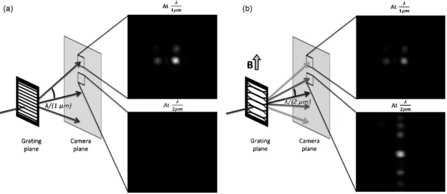Fig. 24. Schematic setup of the clumping experiment and pictures of the same sample taken under identical experimental conditions at angles of λ/1 µm and λ/2 µm (a) without external magnetic field and (b) under external magnetic field.