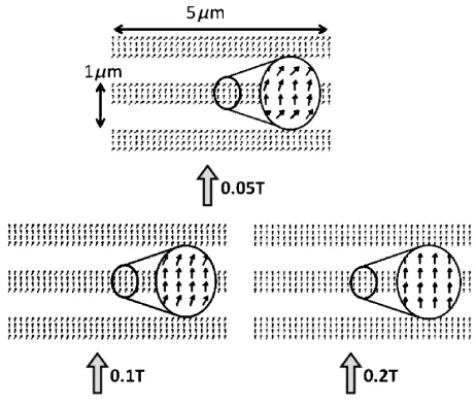 Fig. 7. OOMMF simulation of the magnetization of a grating beams coating made of 20 nm of cobalt.