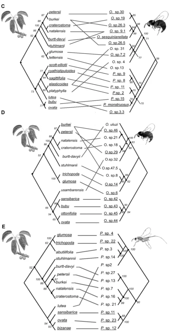 Figure 1. Continued.