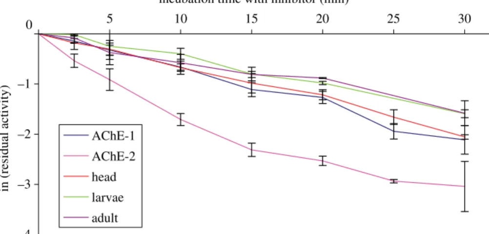 Figure 3. Study of AChE residual activity in C. pipiens, expressed as log (A/A 0 ), with A as the activity at time t and A 0 as the initial activity, against incubation time (minutes) with malaoxon