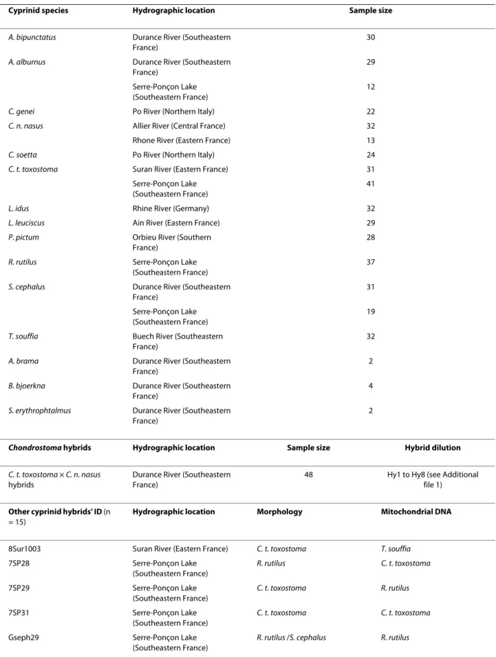 Table 1: European cyprinid species and hybrids: Location and sample size.