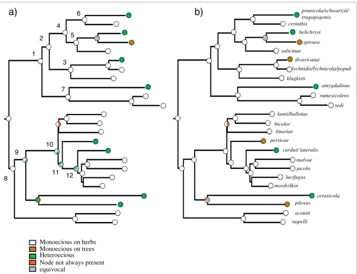 Figure 3 Life cycle evolution shown on one Bayesian species tree. Pie charts at nodes show the% of trees for which the character state at this node was identified as the uniquely best state under MP optimisation (the percentage of equivocal reconstructions