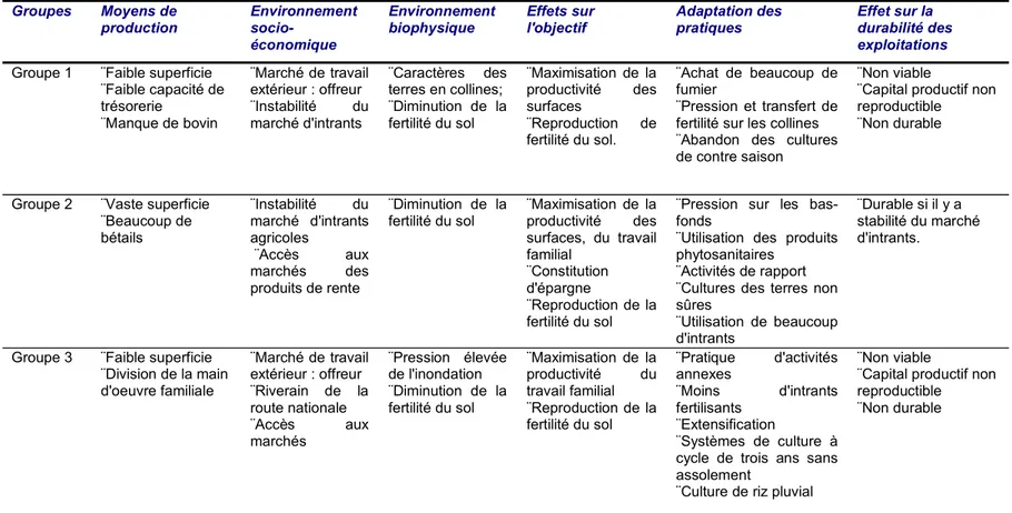 Tableau 4.  Synthèse du fonctionnement des exploitations agricoles 