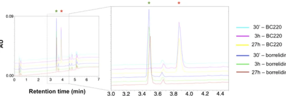 Fig. 5. HPLC-PDA analysis of borrelidin and BC220 stability in P. falciparum-infected RBC cultures