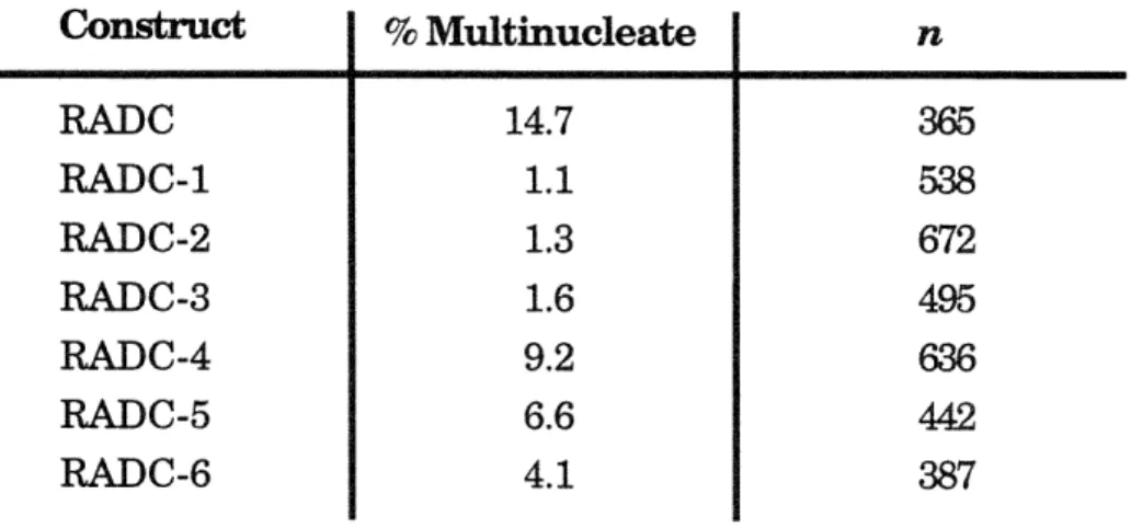 Table 4-1: Construct % Multinucleate I  ii. RADC RADC-1 RADC-2 RADC-3 RADC-4 RADC-5 RADC-6 14.71.11.31.6 9.26.64.1 131 n 365538672495636442387