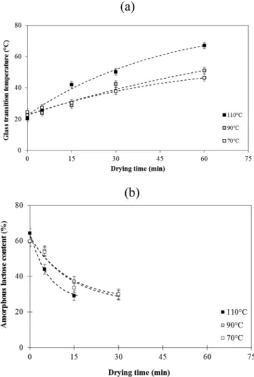 Fig. 3. Microstructure of the agglomerates of skim milk powder during drying at 110 °C as a function of the drying times (0, 5, or 60 min).