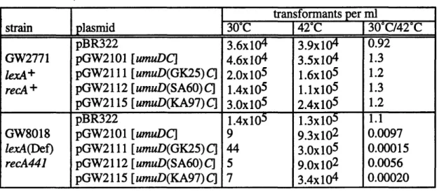 Table 3.  Transformation  efficiency of non-cleavable  umuD alleles  in  lexA+  and lexA(Def)  strains, a S[  transformants  per ml strain  plasmid  30&#34;C  42&#34;C  30&#34;C/42 &#34; C pBR322  3.6x104  3.9x10 4   0.92 GW2771  pGW2101  [wnumuDC]  4.6x10