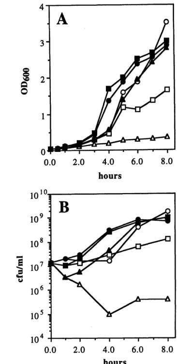 Figure 1.  Inhibition of growth  at  30°C mediated  by  umuDC is more severe  than that  mediated by umuD'C