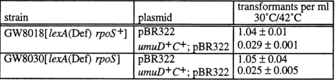 Table 2.  Effect of rpoS  on  the  transformation  efficiency  of umuD+C+- expressing plasmids in lexA(Def)  strains.