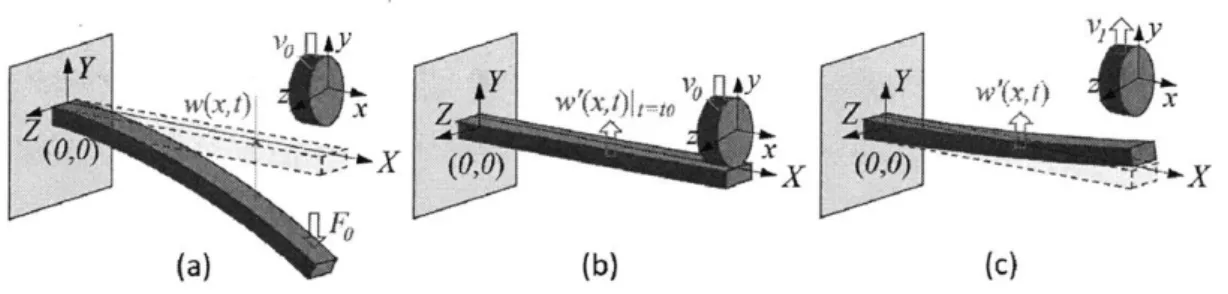 Figure 3-2: Schematic of our Euler-Bernoulli beam model of asled hockey slap shot.