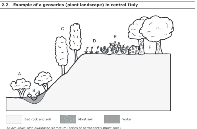 Figure  2.2     Example  of  a  geoseries  (plant  landscape)  in  central  Italy