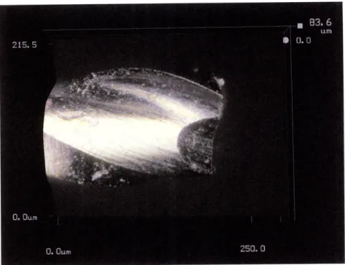 Figure 3.3: The  first image  taken using the  digital microscope  - the side view  of a 0.005"
