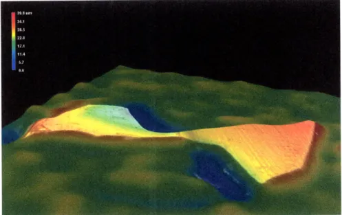 Figure 3.4:  3-dimensional  digital image  of the  tip of a 0.015"  2-flute  diameter  endmill, magnified  500x