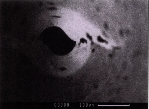 Figure 4.2:  Tool  A, a 0.005"  diameter  endmill, imaged  under scanning electron  microscope.