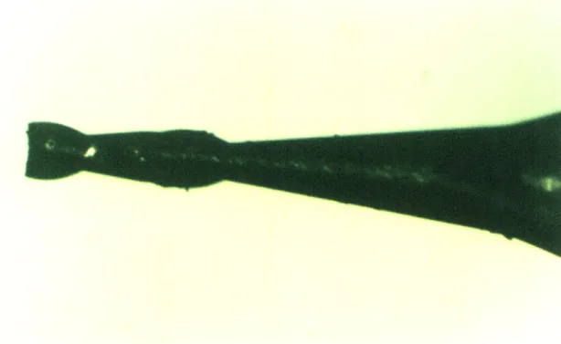 Figure  4.4:  Tool B,  a 0.005"  diameter  endmill, imaged under  optical microscope.