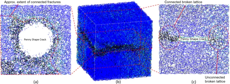 Figure 4: Lattice network of Sparse Model at load step 2250. Color of lattice shows its force to strength ratio which varies from 0 (blue) to 1 (red)