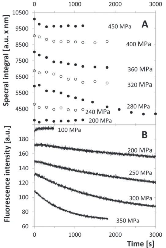 Fig 7. Time development of the emission intensity of the tryptophan fluorescence at λ ex = 280 nm