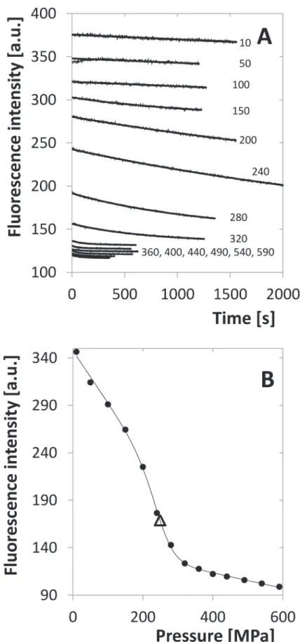Fig 8. Fluorescence-intensity indicated transition for 5 μ M dimer. A. Time dependence of the intensity for different pressures
