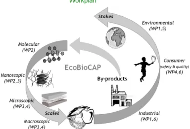 Figure 1. The EcoBioCap workpackage cycle