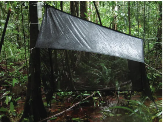 Figure 1. Picture of a malaise trap installed in a flooded forest of French Guiana (Lamarre G).