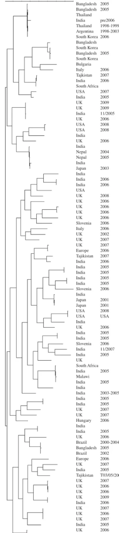 Fig. 6. Dendrogram (Maximum Parsimony) of sequences of the gene encoding VP7 of G12 strains