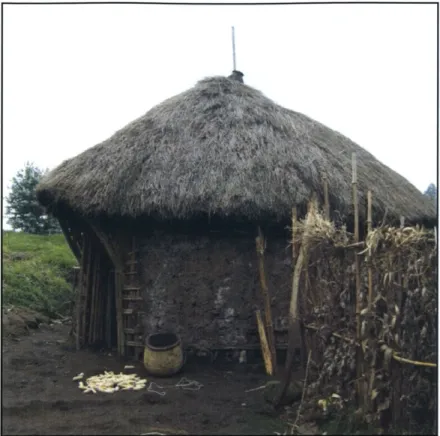 Figure 37: Poor-level house with thatch roof in Bisate Village (Picture by Author)
