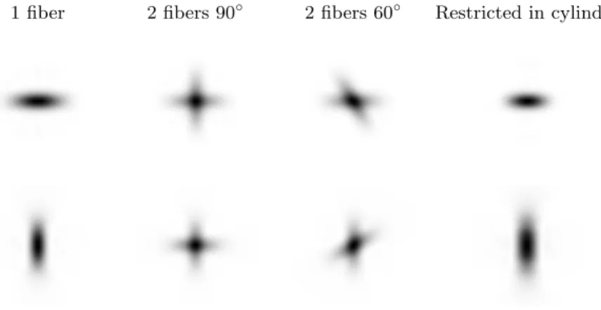 Fig. 1. Diffusion signal (top) and diffusion propagator (bottom) for the 4 models se- se-lected for synthetic data generation