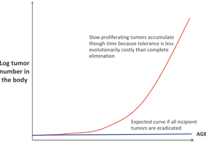 Figure 1 Hypothesis that natural selection promotes mechanisms that hold tumours in check