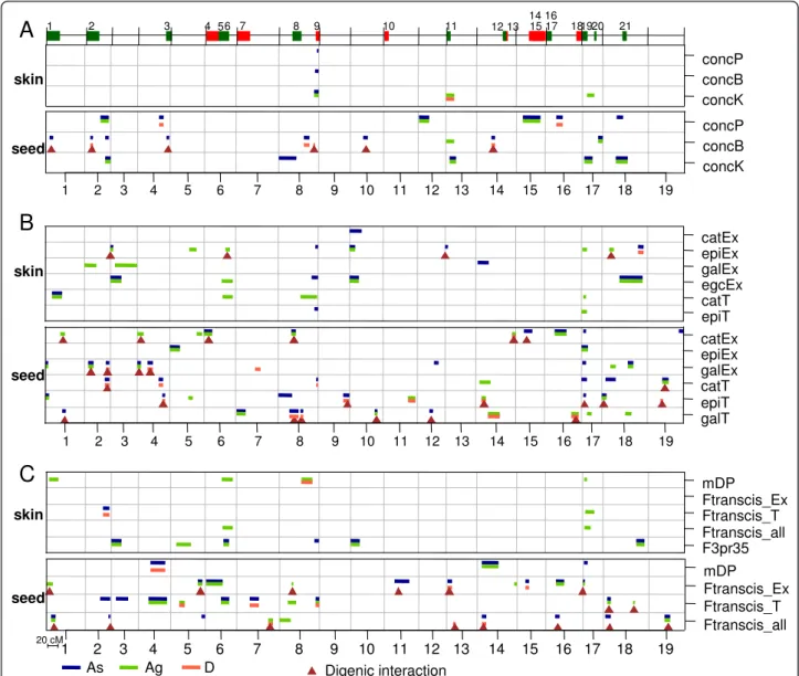 Figure 4 Overview of skin and seed PA QTLs identified on the consensus map for total content (A), subunit percentage (B) and composite variables (C)