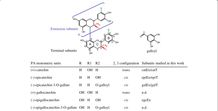 Figure 1 Structures of proanthocyanidins and monomeric subunits. A generic structure of proanthocyanidin is shown and the possible configurations are highlighted in colour