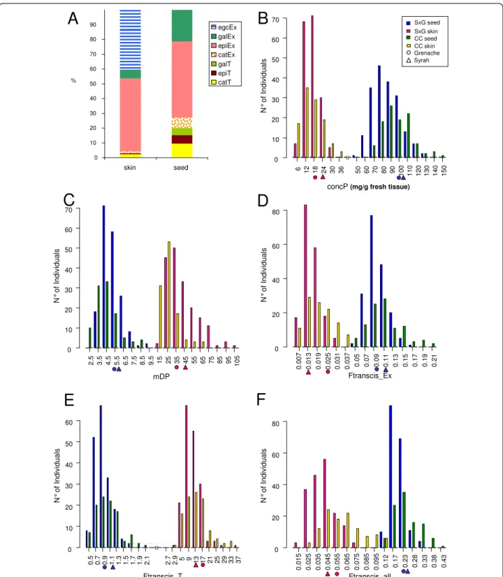 Figure 2 Comparative composition of skin and seed PA in 2006 (A) and distribution of PA variables of S × G and CC populations in 2006 for concP (B), mDP (C), Ftranscis_Ex (D) Ftranscis_T (E) and Ftranscis_all (F)