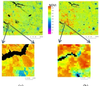 Figure 1 shows an example of the study area from the  Landsat and the MODIS images. We can notice that parcels  can  be  easily  identified  in  the  Landsat  image,  while  not  in  the MODIS one