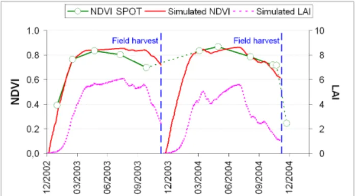Figure  1:  Example  of  temporal  profiles  of  a  sugarcane  field NDVI extracted from SPOT5 time series, as well as  NDVI  and  LAI  temporal  profiles  simulated  using  the  sugarcane growth model MOSICAS