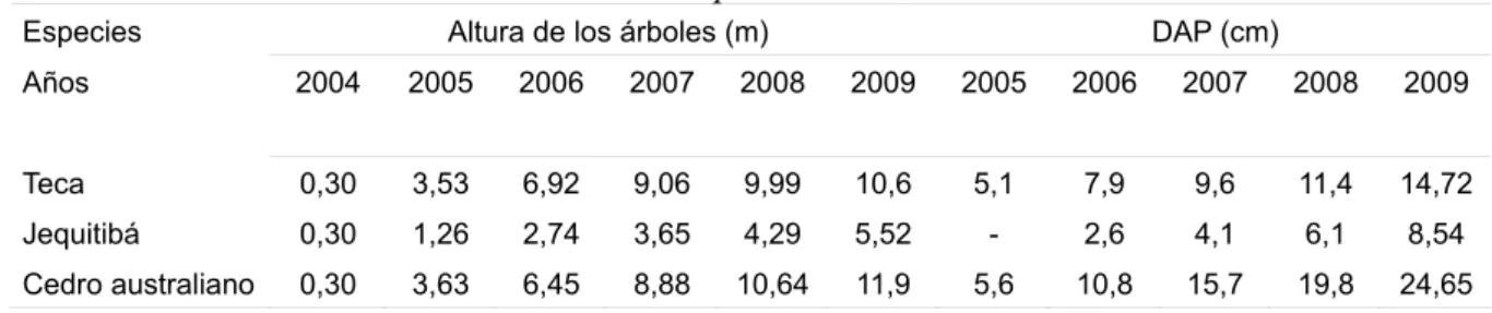 Tabla 1. Media de las alturas y el diámetro a altura del pecho (DAP) de los árboles, de 2004  (dimensiones cuando fueran plantadas) hasta noviembre de 2009, en sistema agroforestal en 