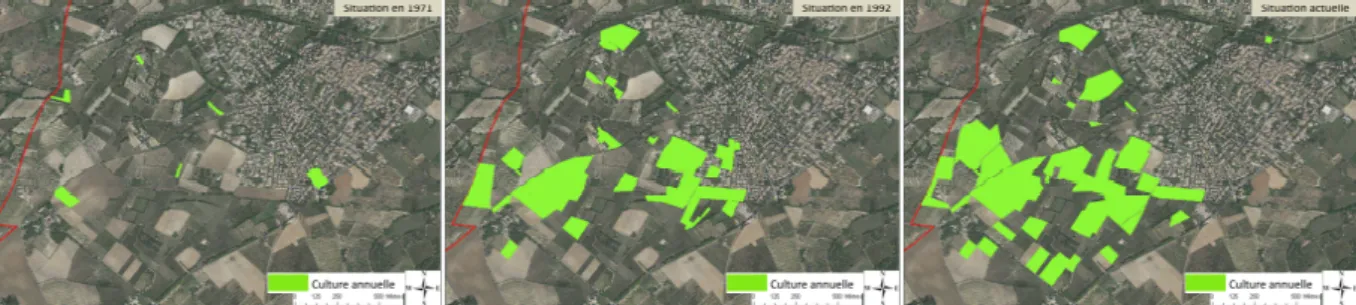 Figure 8 : Evolution des parcelles en herbe, friches ou bâti sur la frange ouest du village de Fabrègues  entre  1971  et  2008  (réalisation  C.Delay  (2008),  à  partir  de  relevés  photographiques  de  l’IFN  et  observations in situ) 