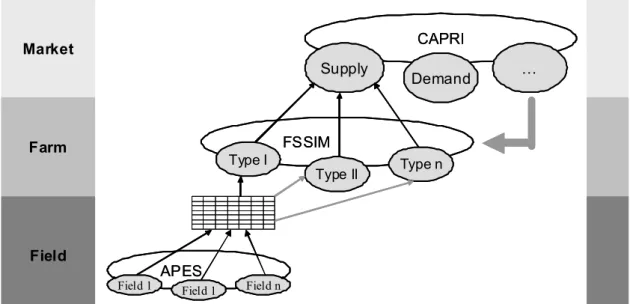 Figure 1. Schematic representation of nested linking of CAPRI-FSSIM and APES within a  hierarchical system