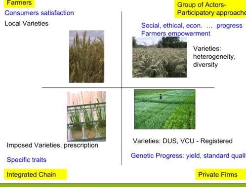 Figure 4. Four models of diversification of agriculture  