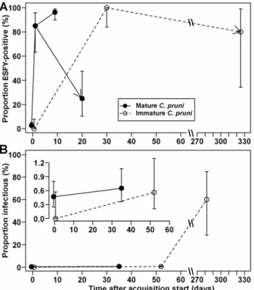 Fig. 4. Logarithm of the number of phytoplasma genomes per individual  Cacopsylla pruni estimated by quantitative polymerase chain reaction at  different times after acquisition start