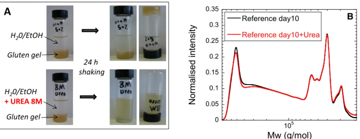 Figure 9: Impact of urea on the gluten gels 