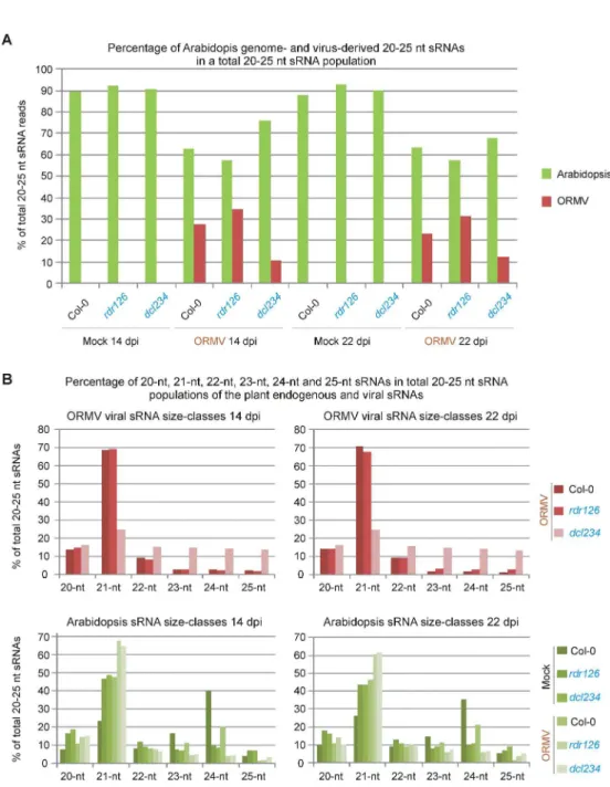 Fig. 2. Illumina sequencing counts of endogenous and viral sRNAs in mock-inoculated and ORMV-infected A
