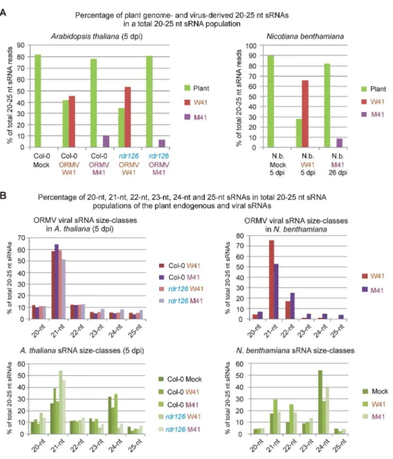 Fig. 4. Illumina sequencing counts of endogenous and viral sRNAs in mock-inoculated and virus (W41, or  M41)-infected A