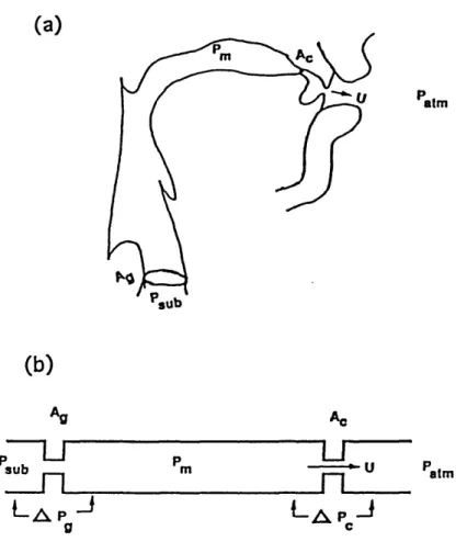 Figure  2.2:  (a)  Midsagittal  cross-section  of a  vocal  tract  as  configured  for  /s/