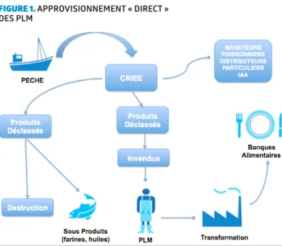 FIGURE 1. APPROVISIONNEMENT « DIRECT »   DES PLM